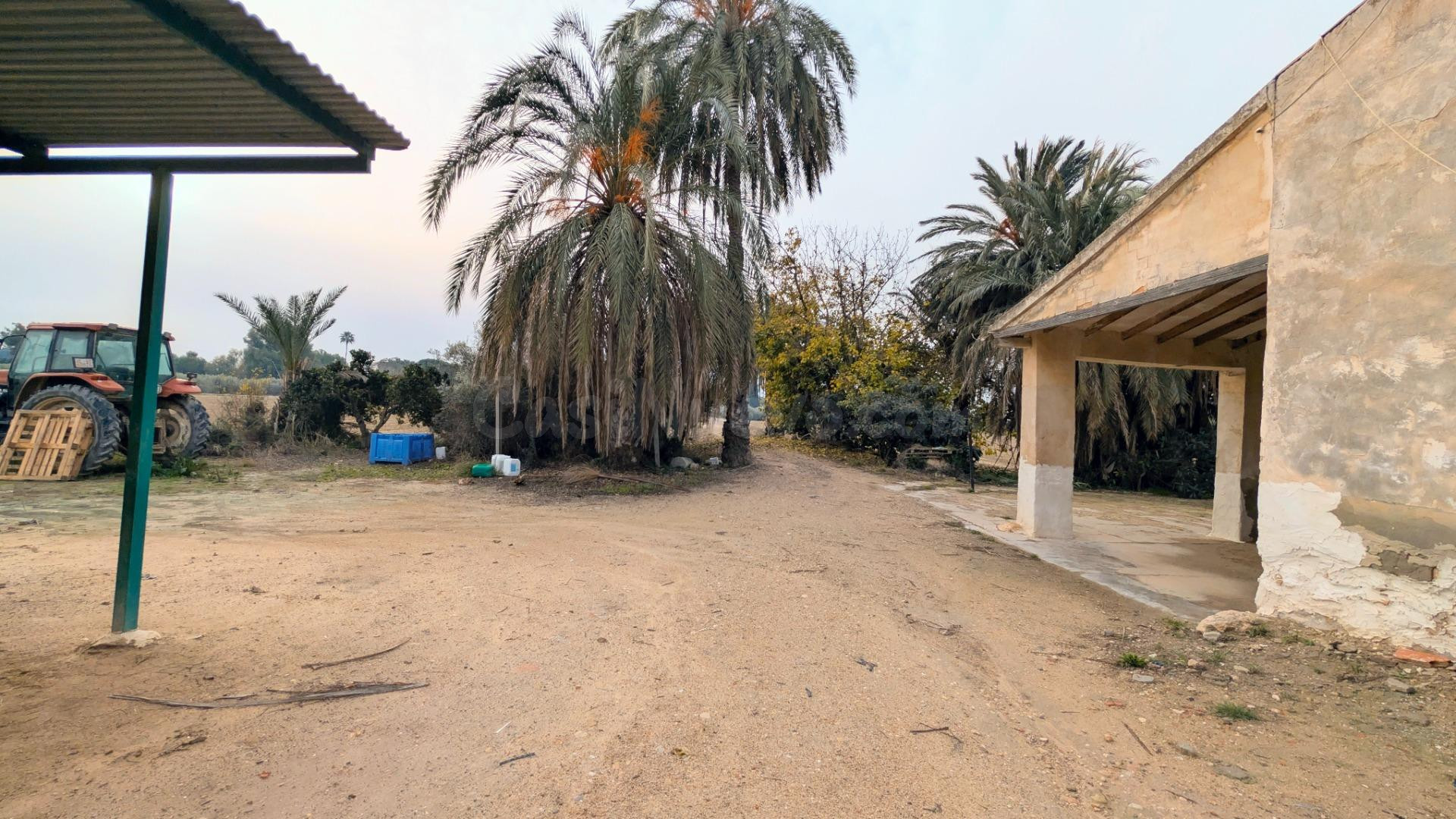 Oportunidad Única en el Campo de Elche – Zona Sur. - foto 4