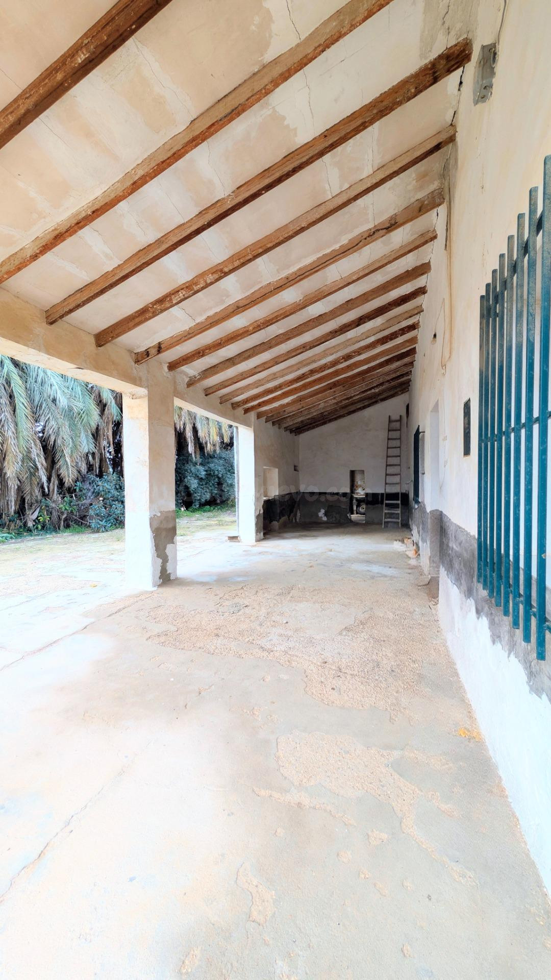 Oportunidad Única en el Campo de Elche – Zona Sur. - foto 5