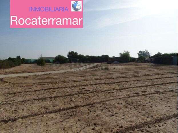 Finca rústica en venta en La Hoya-Daimes-El Derramador - foto 5