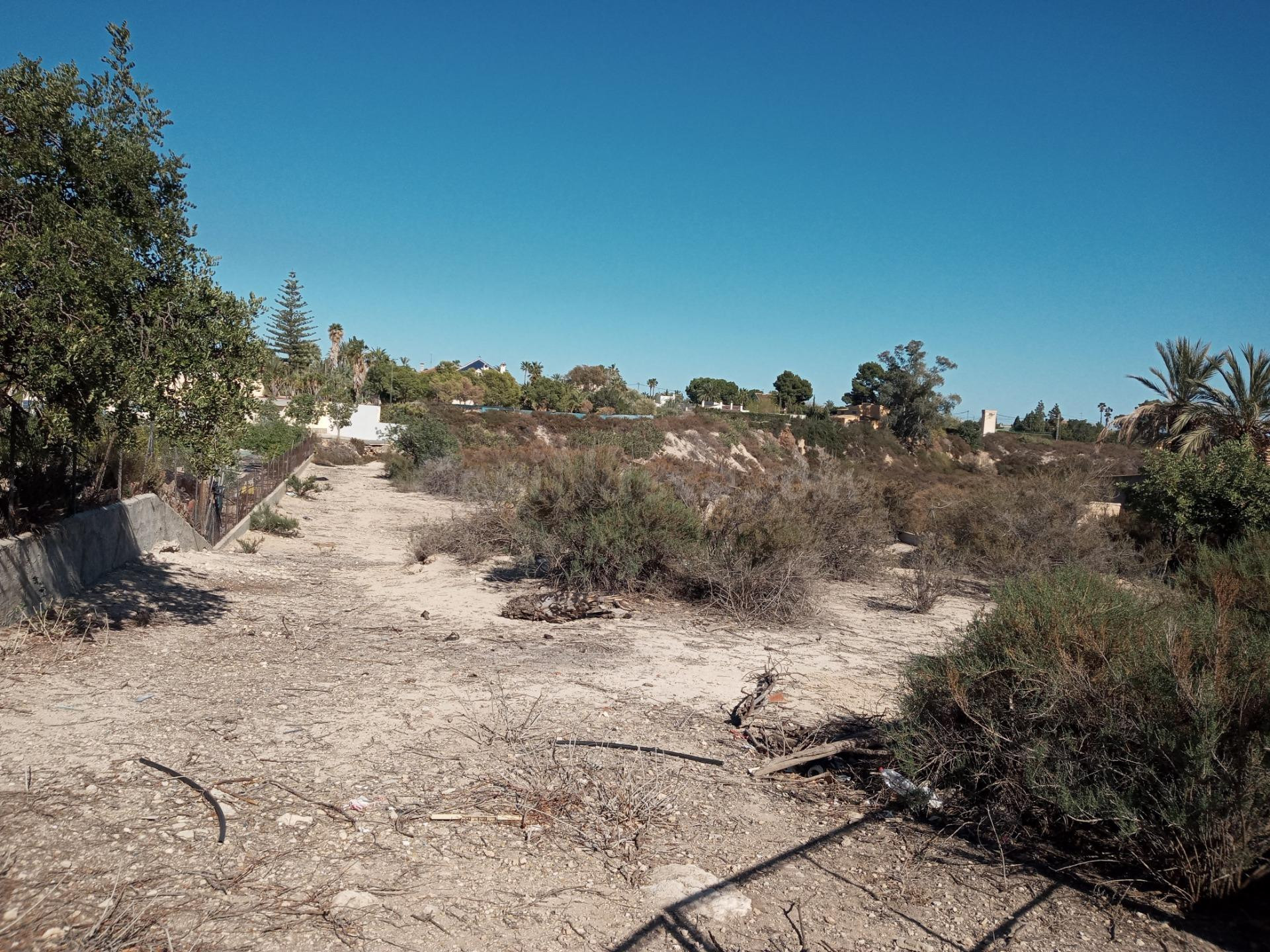 Terreno rural en venta - Matola - foto 4