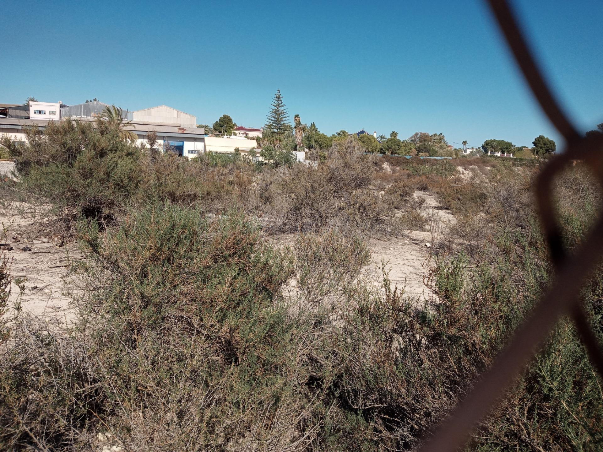 Terreno rural en venta - Matola - foto 5