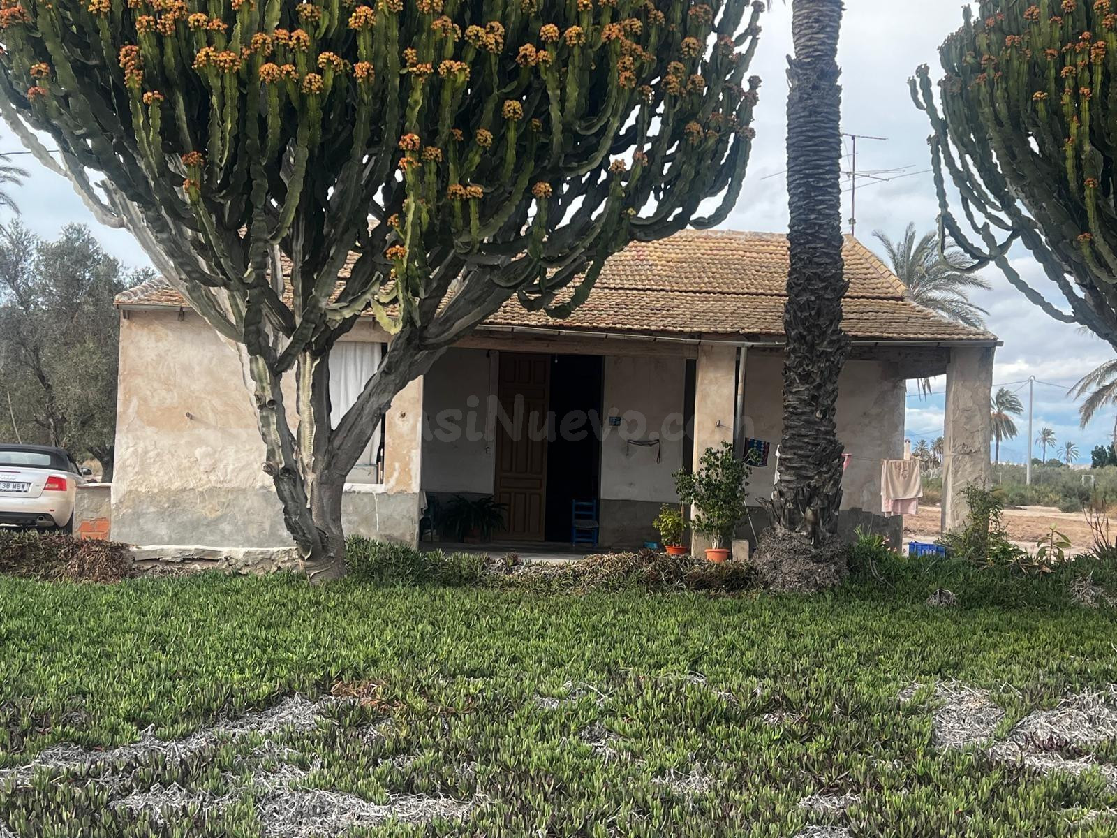 Gran casa tipica de elche ideal para reformar