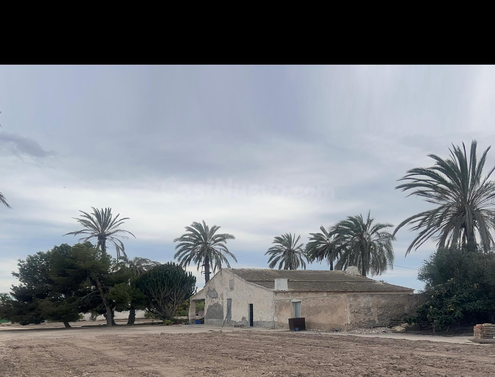 Gran casa tipica de elche ideal para reformar - foto 3