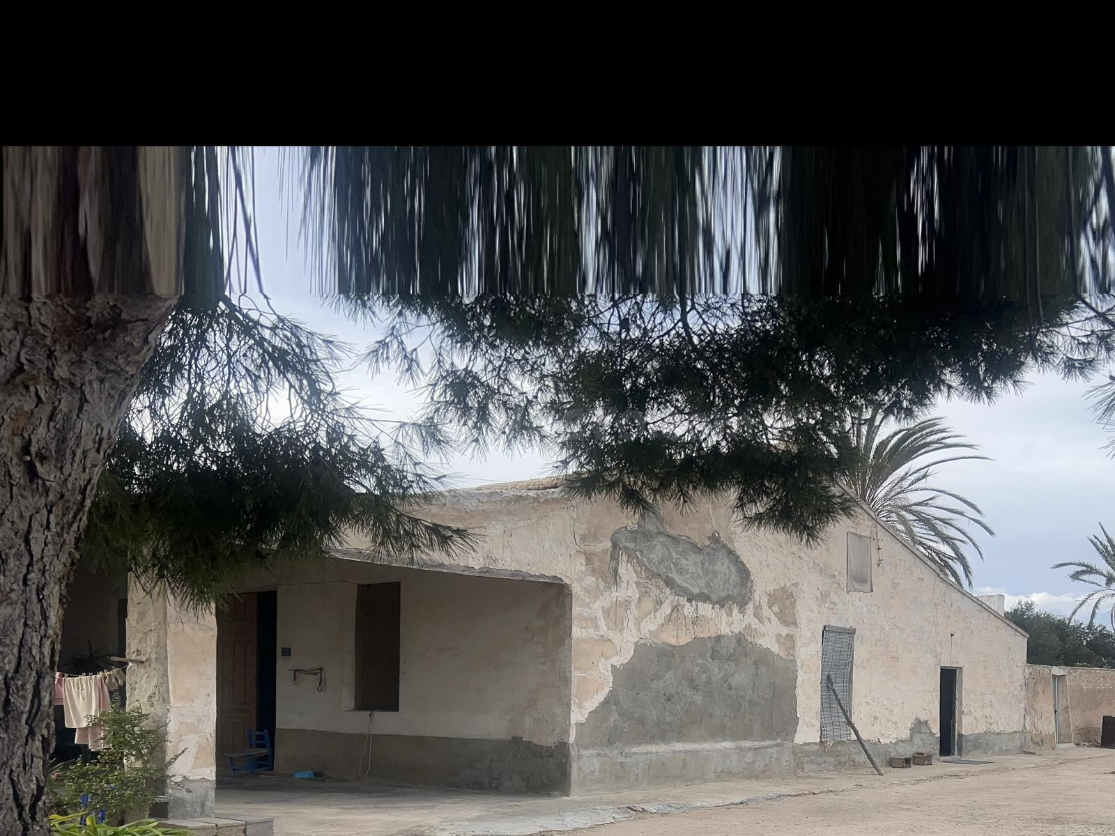 Gran casa tipica de elche ideal para reformar - foto 4