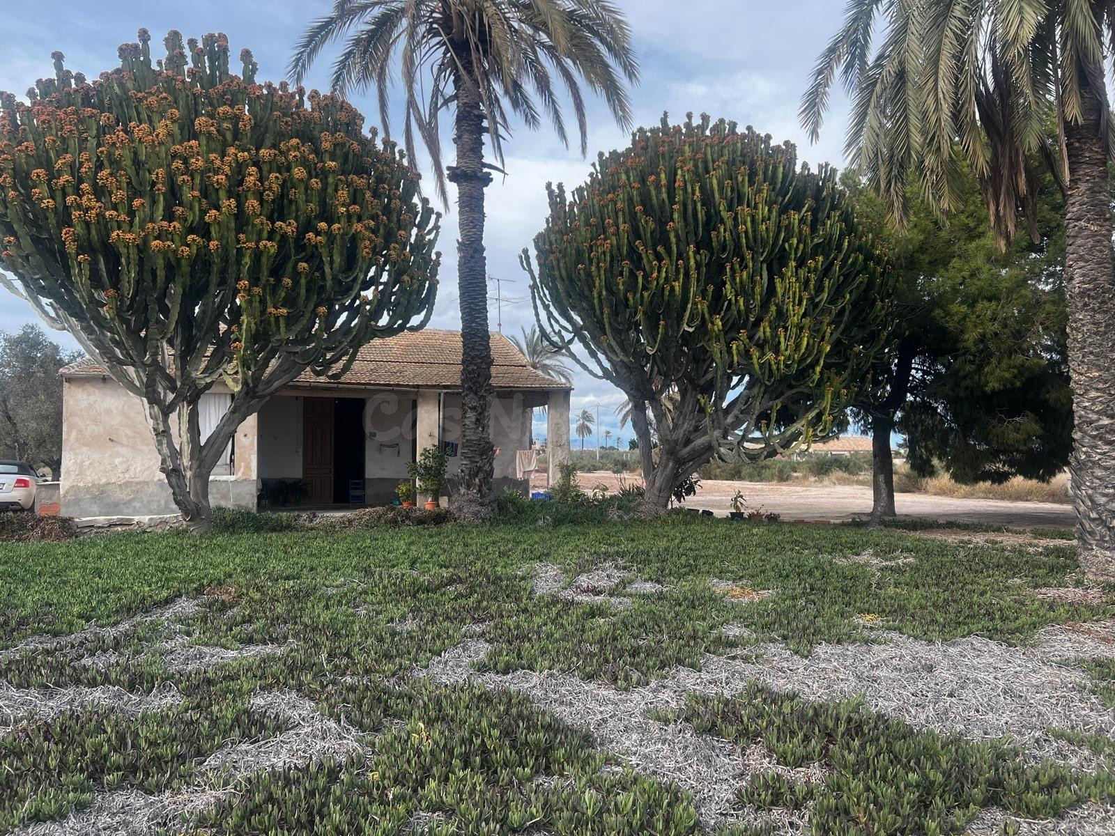 Gran casa tipica de elche ideal para reformar - foto 5