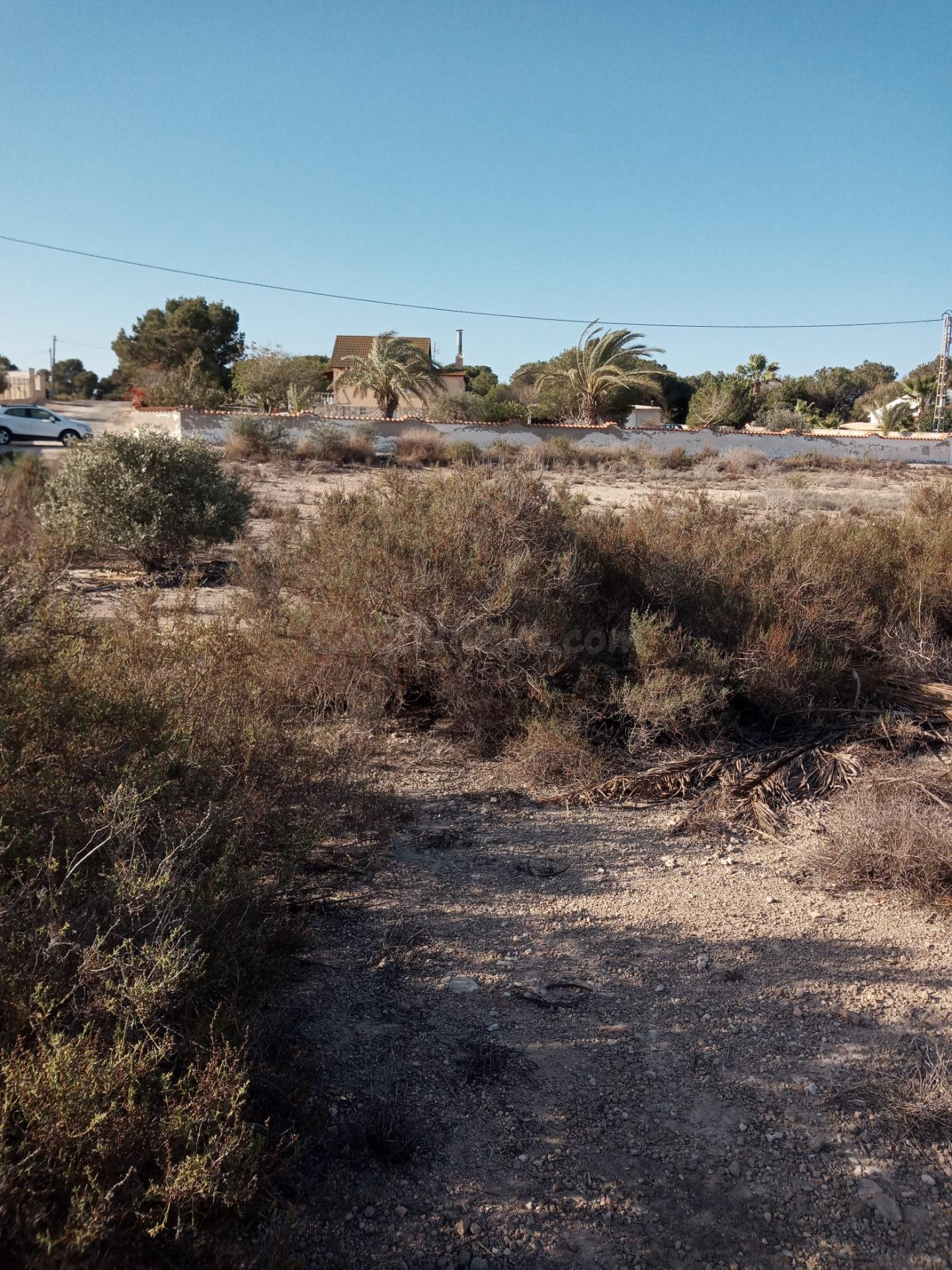 Terreno rural en venta - Elche