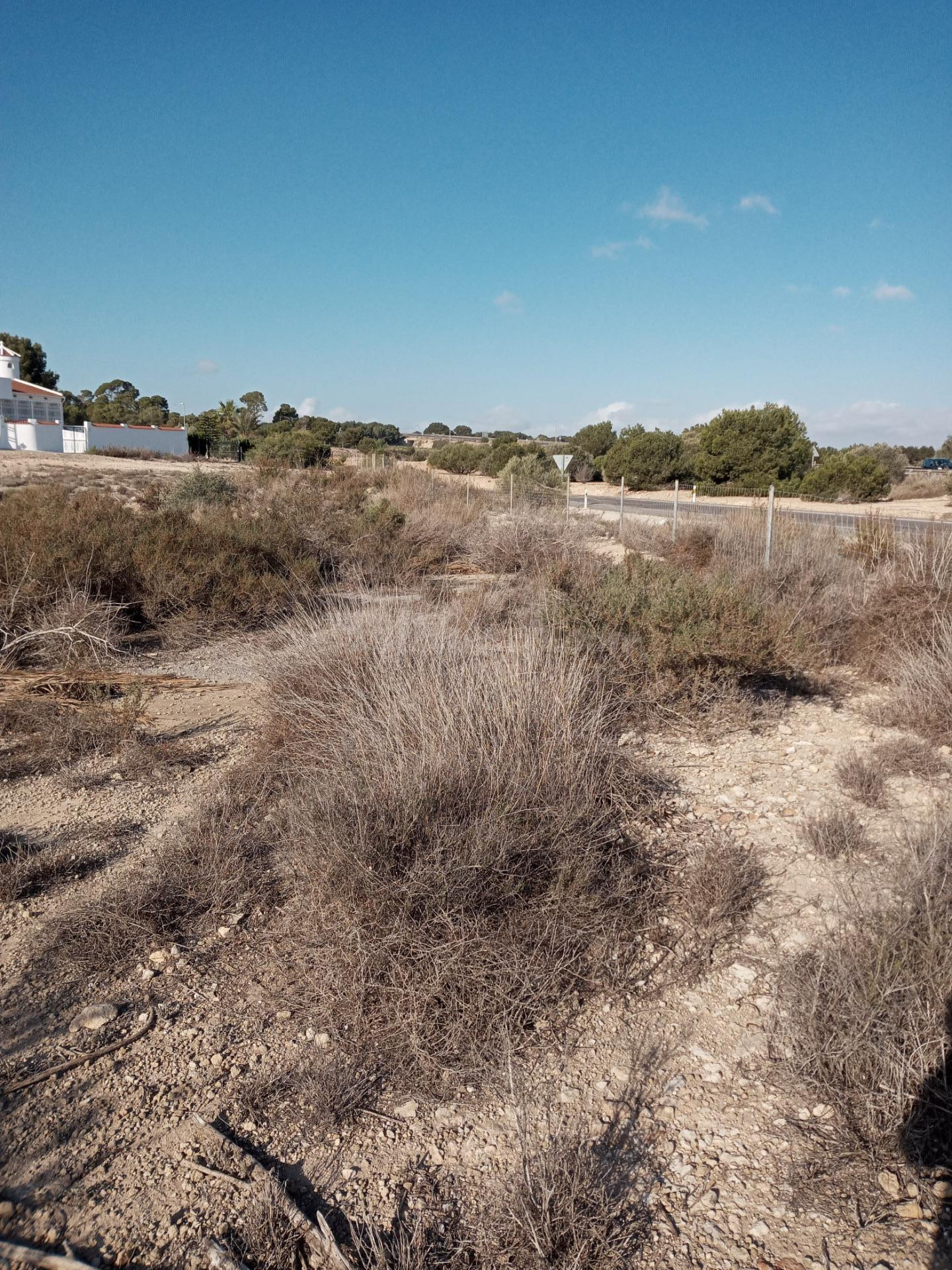 Terreno rural en venta - Elche - foto 2