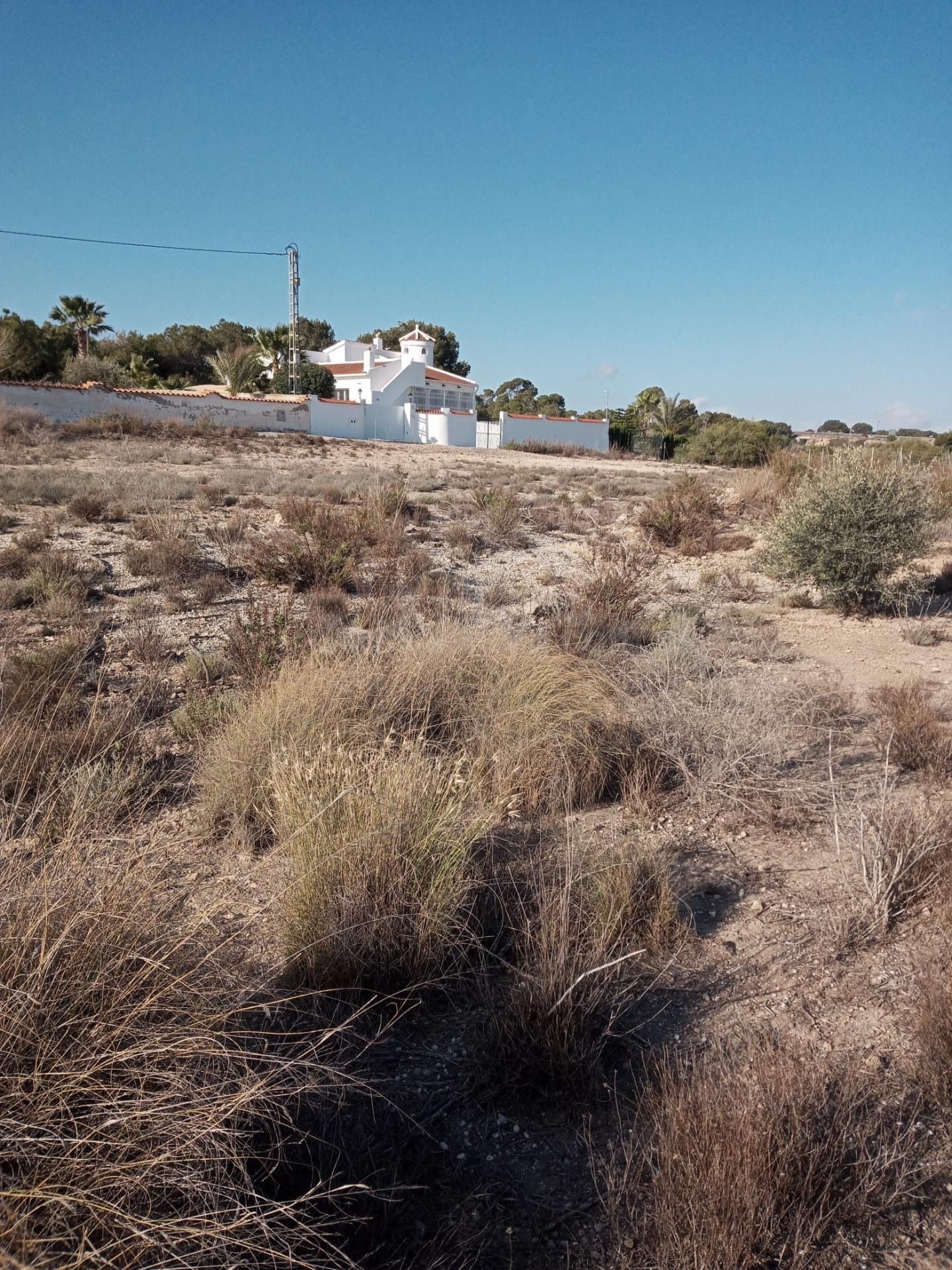 Terreno rural en venta - Elche - foto 3