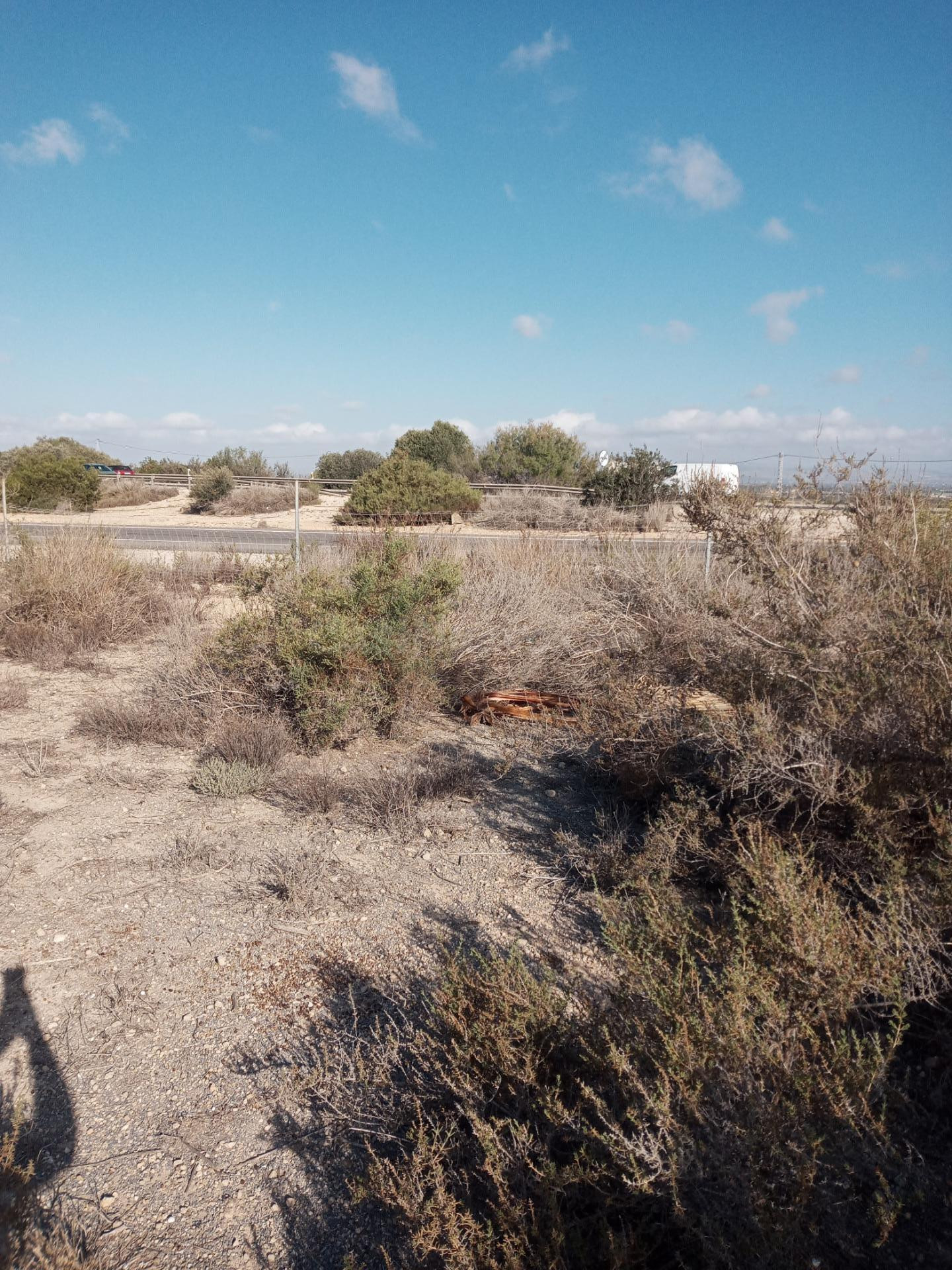 Terreno rural en venta - Elche - foto 4