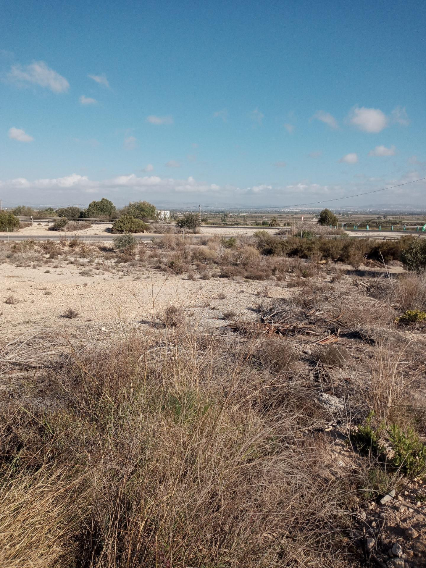 Terreno rural en venta - Elche - foto 5