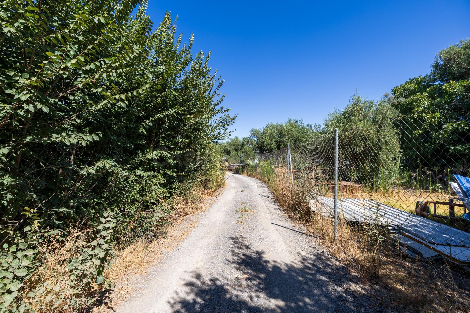 Terreno Rural en Venta en Otura - Oportunidad de Inversión - foto 5