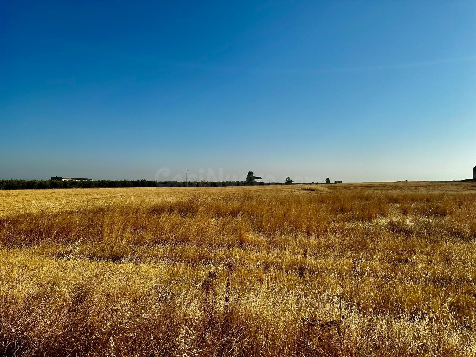 *Venta de Terreno Industrial en La Carlota - Oportunidad Úni - foto 2