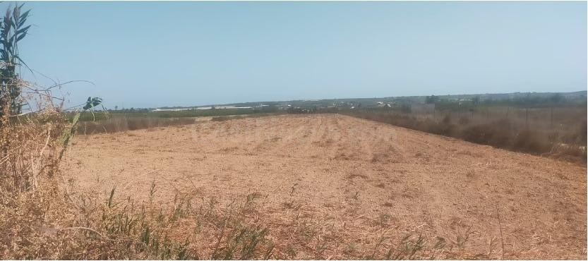 terreno en elche, zona la hoya-Daimes-Asprellas