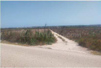 terreno en elche, zona la hoya-Daimes-Asprellas - foto 2