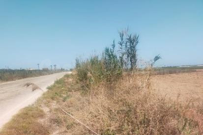 terreno en elche, zona la hoya-Daimes-Asprellas - foto 4