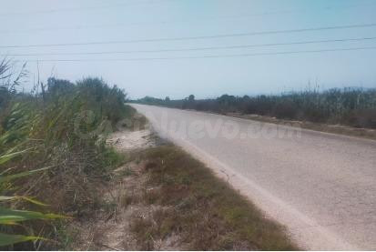 terreno en elche, zona la hoya-Daimes-Asprellas - foto 5
