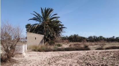 Terreno rural en venta - La Marina - foto 2