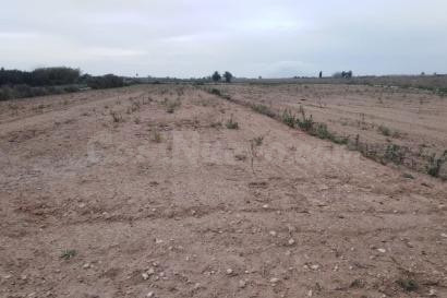 Terreno rural en venta - La Marina - foto 3