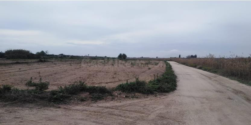 Terreno rural en venta - La Marina - foto 4