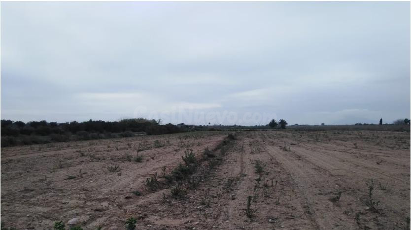 Terreno rural en venta - La Marina - foto 5