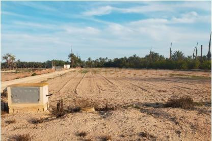 terreno en la hoya, Asprillas- Daimés - foto 2