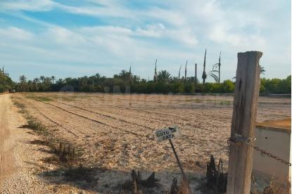 terreno en la hoya, Asprillas- Daimés - foto 3