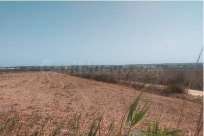 Terreno en la hoya- elche - foto 3