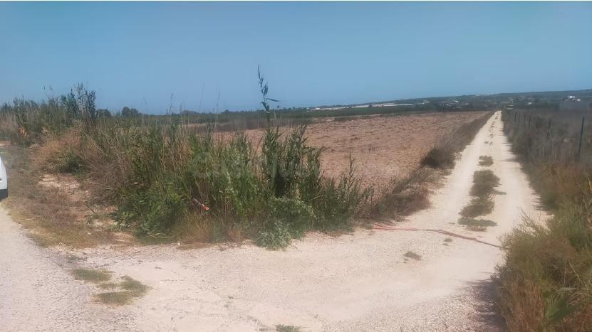 Terreno en la hoya- elche - foto 4