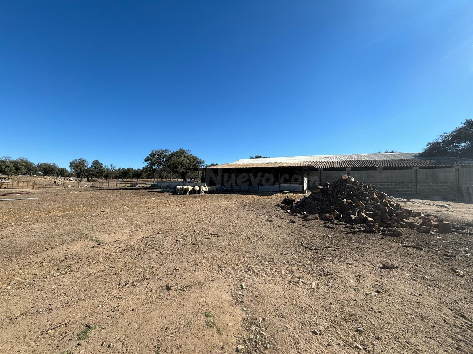 Venta de Finca Agricola y Ganadera - foto 5