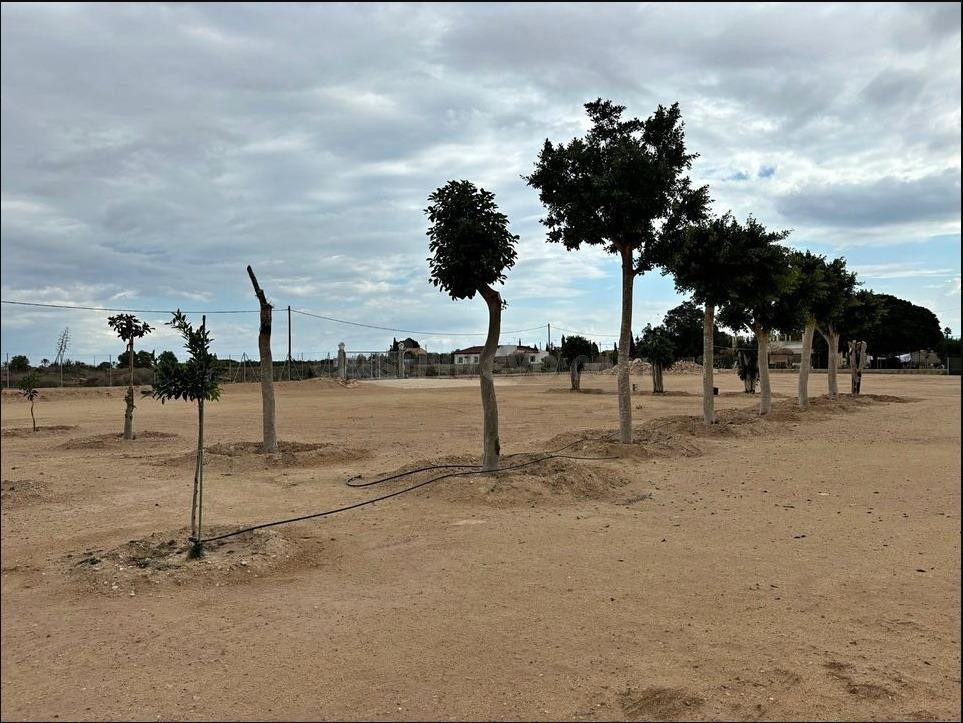 Terreno zona maitino