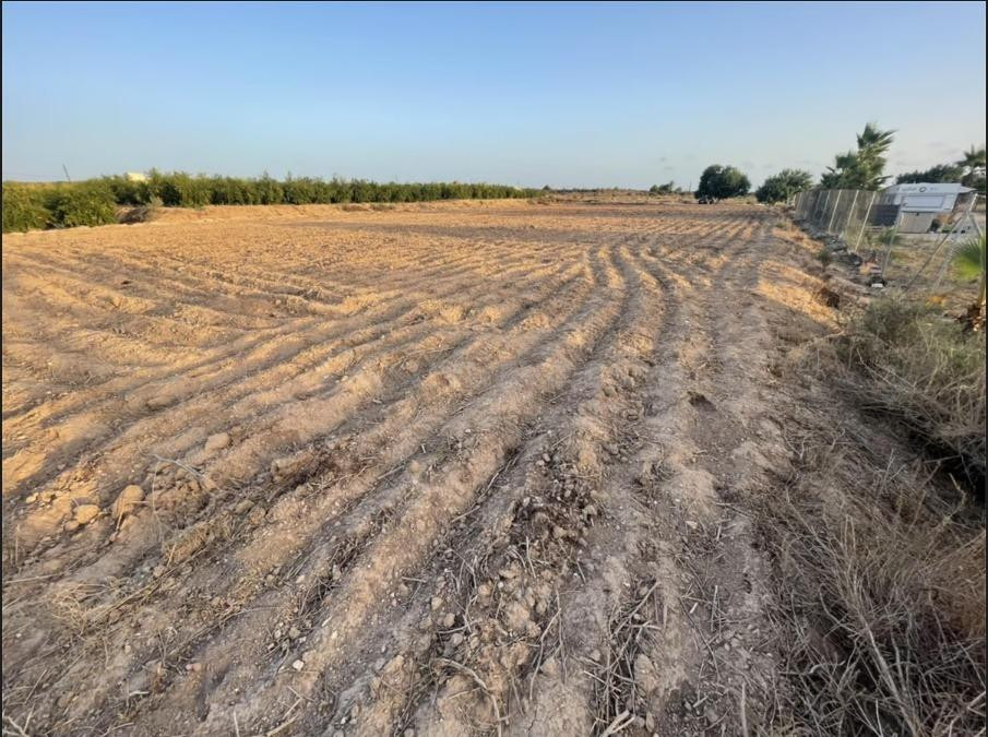 Venta terreno-zona el molar- La Marina