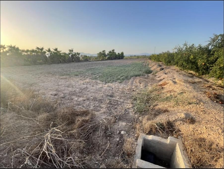 Venta terreno-zona el molar- La Marina - foto 3