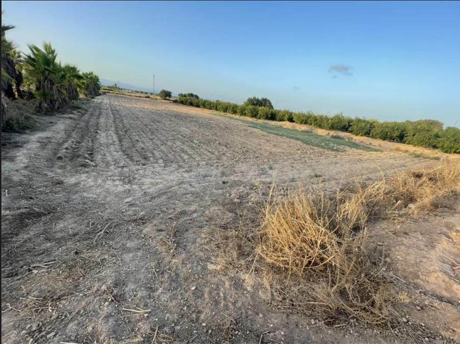 Venta terreno-zona el molar- La Marina - foto 4