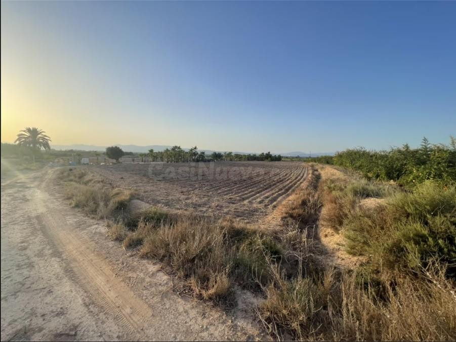 Venta terreno-zona el molar- La Marina - foto 5