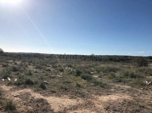 Venta de terreno- La Marian- Elche - foto 3
