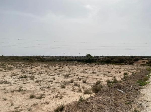 Venta de terreno- La Marian- Elche - foto 5