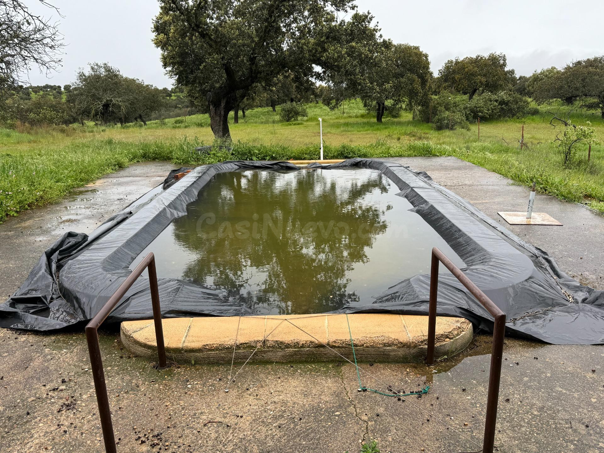 DEHESA EL ALFILEJO – ALCARACEJOS - foto 2