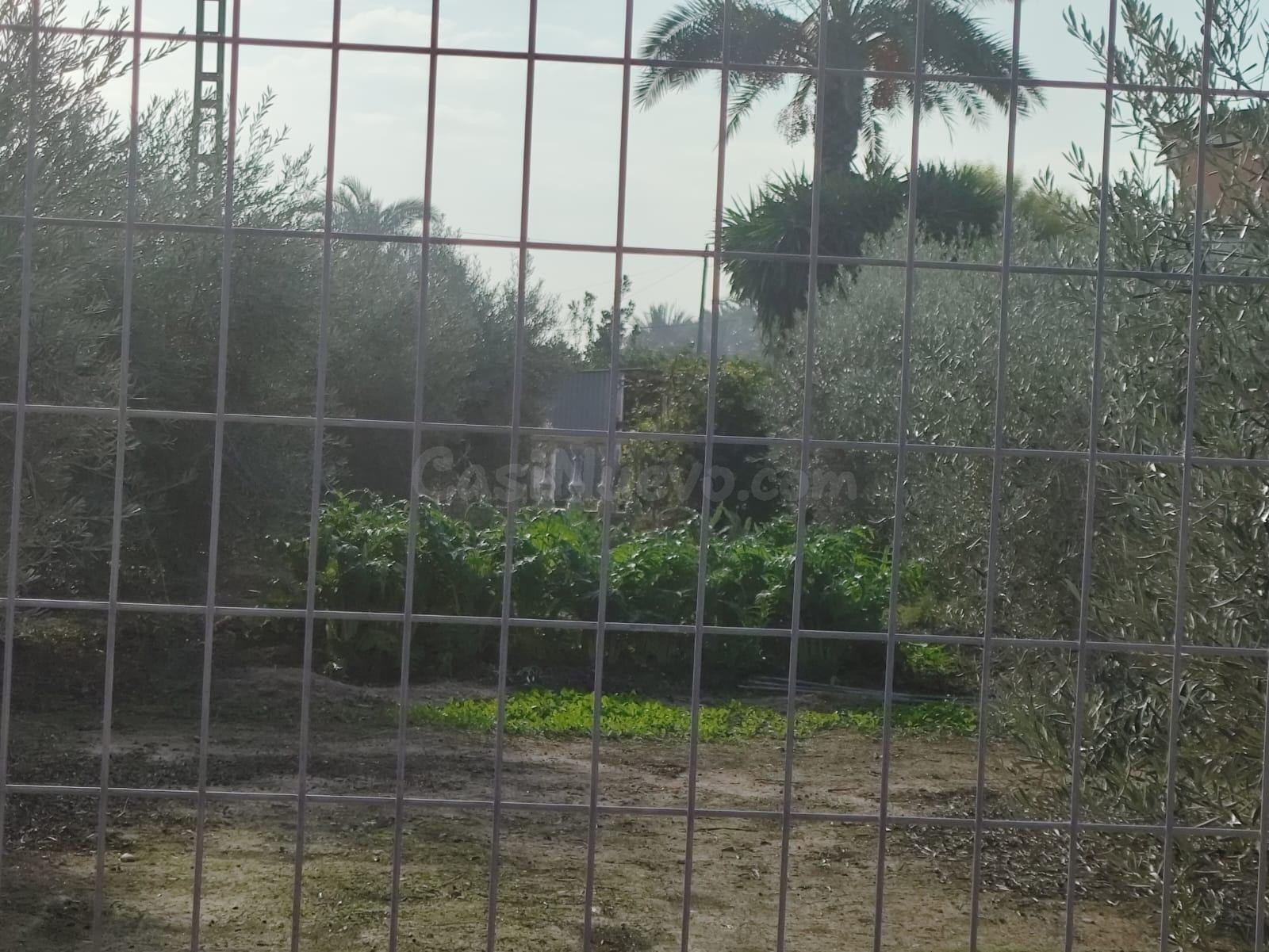 venta Parcela - la zona la hoya-Elche - foto 2