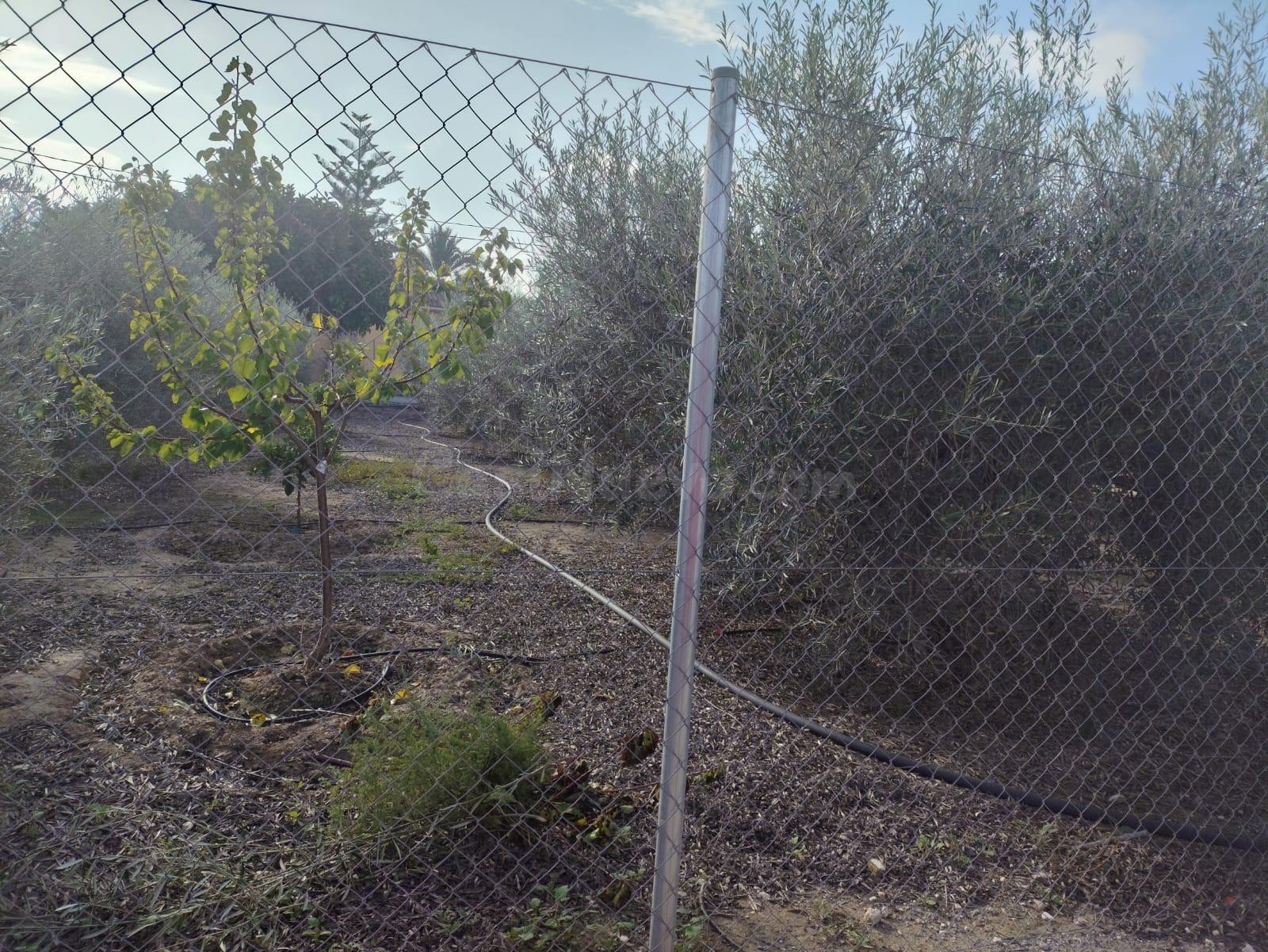 venta Parcela - la zona la hoya-Elche - foto 3