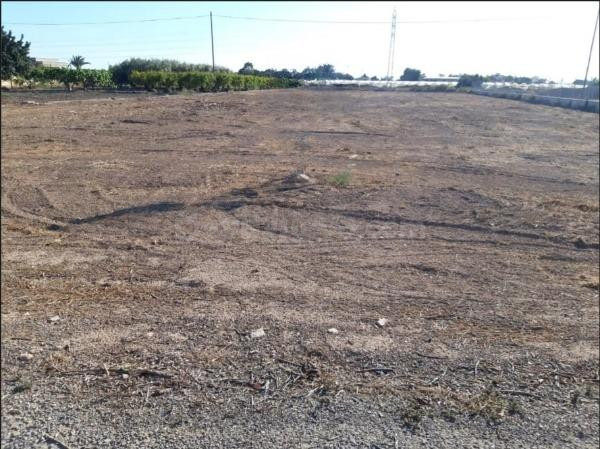 Terreno zona parleta-Elche