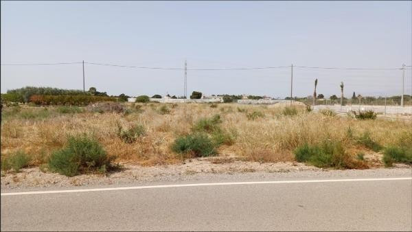 Terreno zona parleta-Elche - foto 2