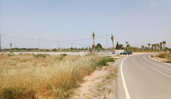 Terreno zona parleta-Elche - foto 3