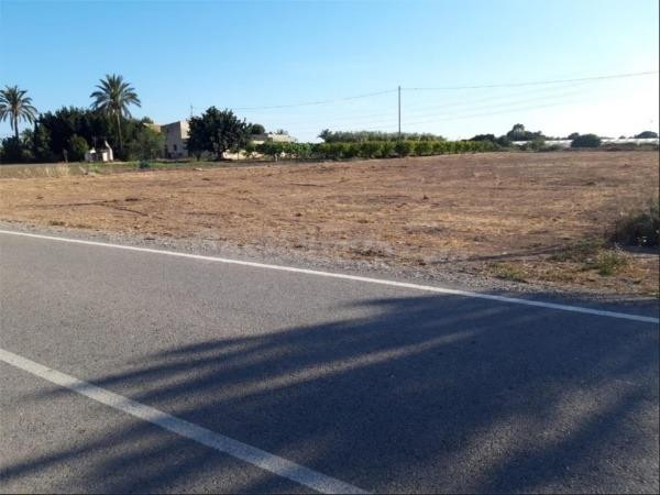 Terreno zona parleta-Elche - foto 5