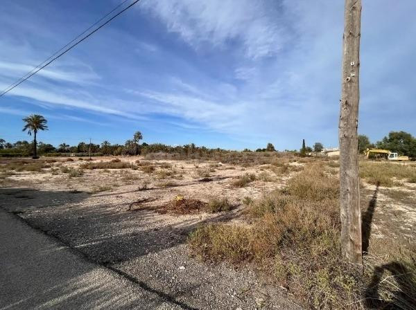 Terreno- zona daimes- elche