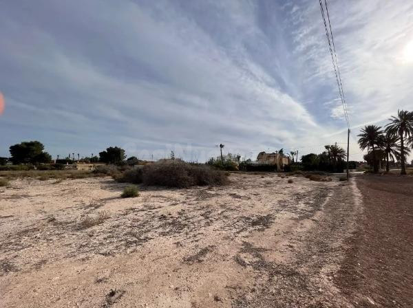 Terreno- zona daimes- elche - foto 2