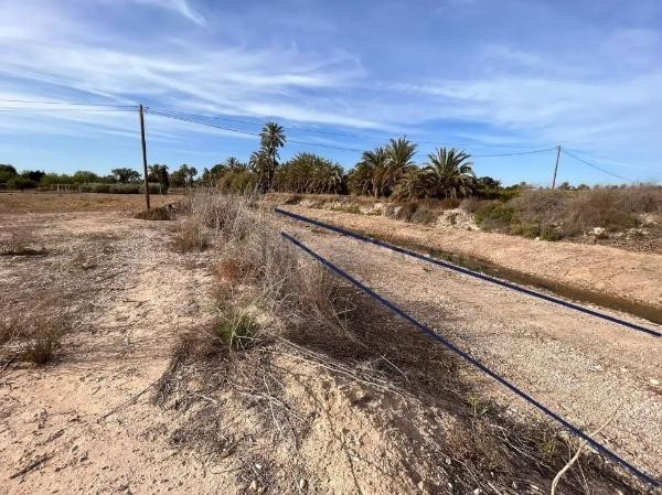 Terreno- zona daimes- elche - foto 3