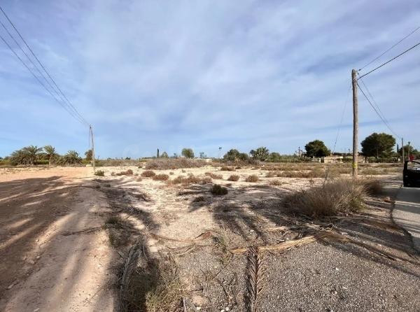 Terreno- zona daimes- elche - foto 5