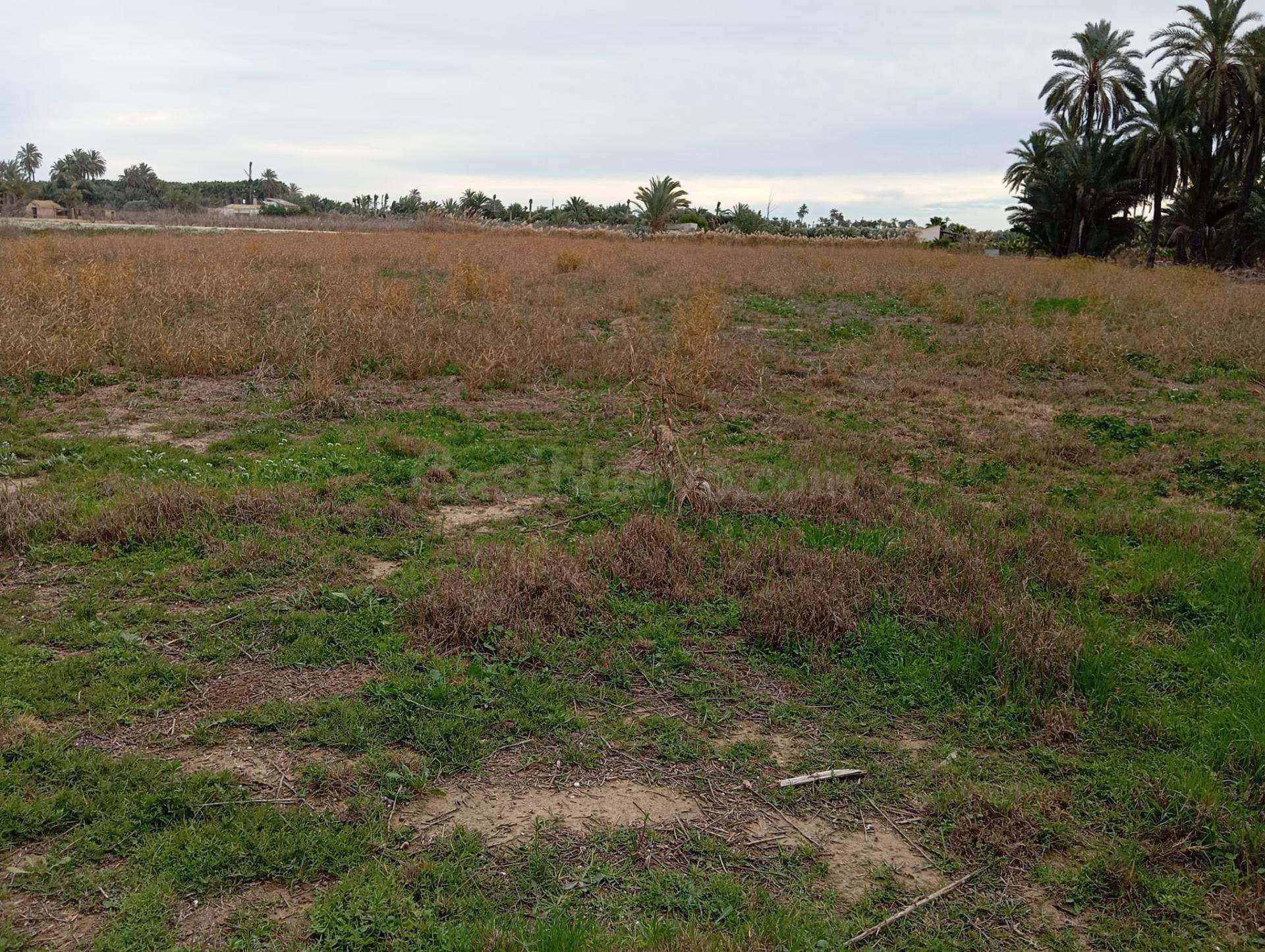 terreno en zona derramador - foto 2