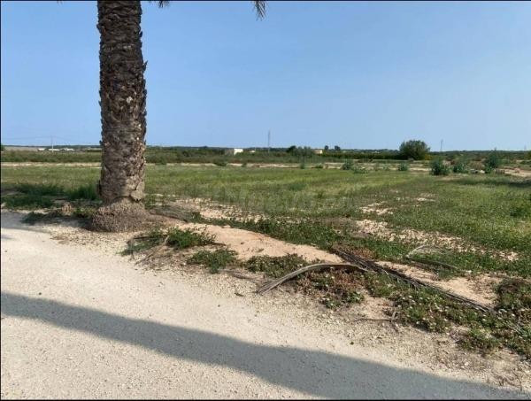 Terreno en zona La Marina - El Molar - foto 2