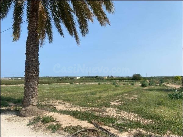 Terreno en zona La Marina - El Molar - foto 4
